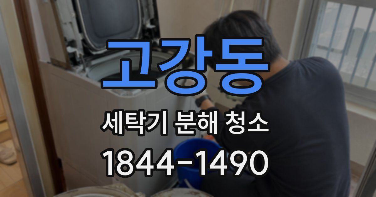 고강동 세탁기 분해 청소
