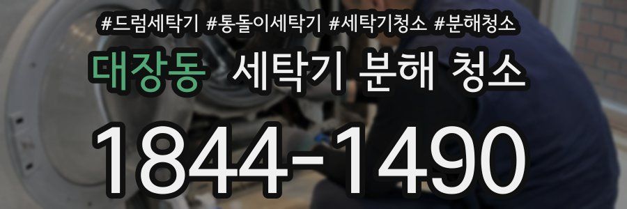 대장동 세탁기 분해 청소