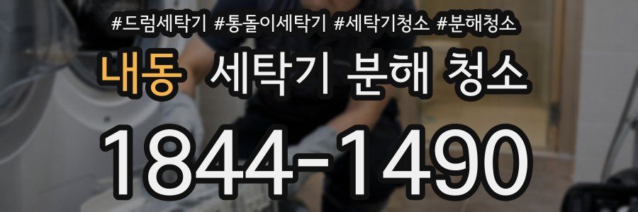 내동 세탁기 분해 청소