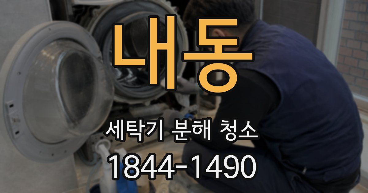 내동 세탁기 분해 청소