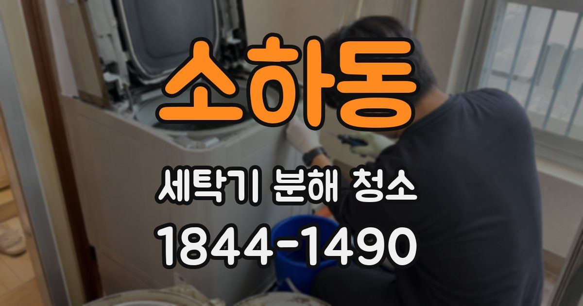 소하동 세탁기 분해 청소