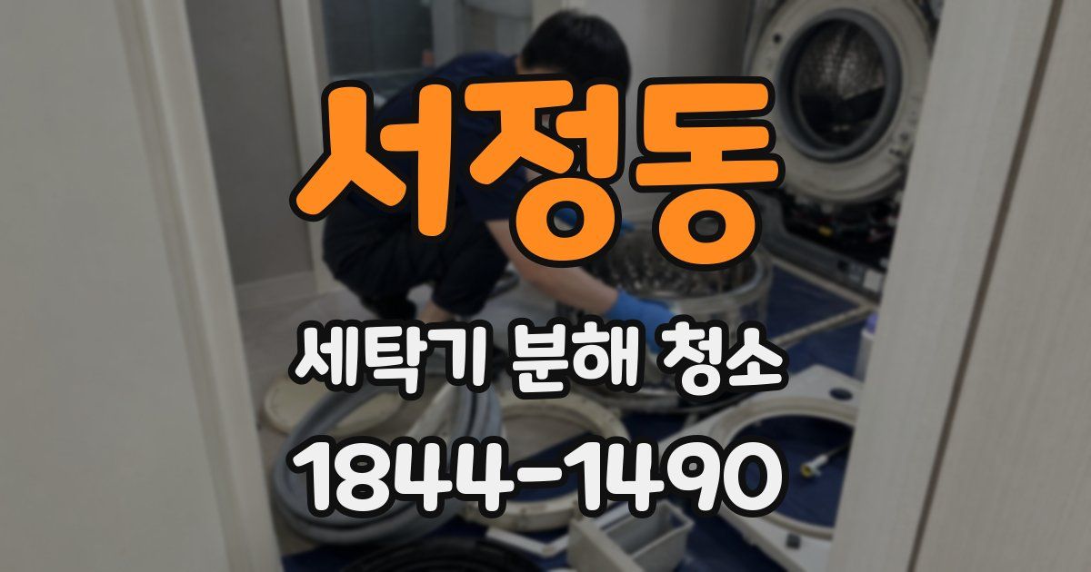 서정동 세탁기 분해 청소