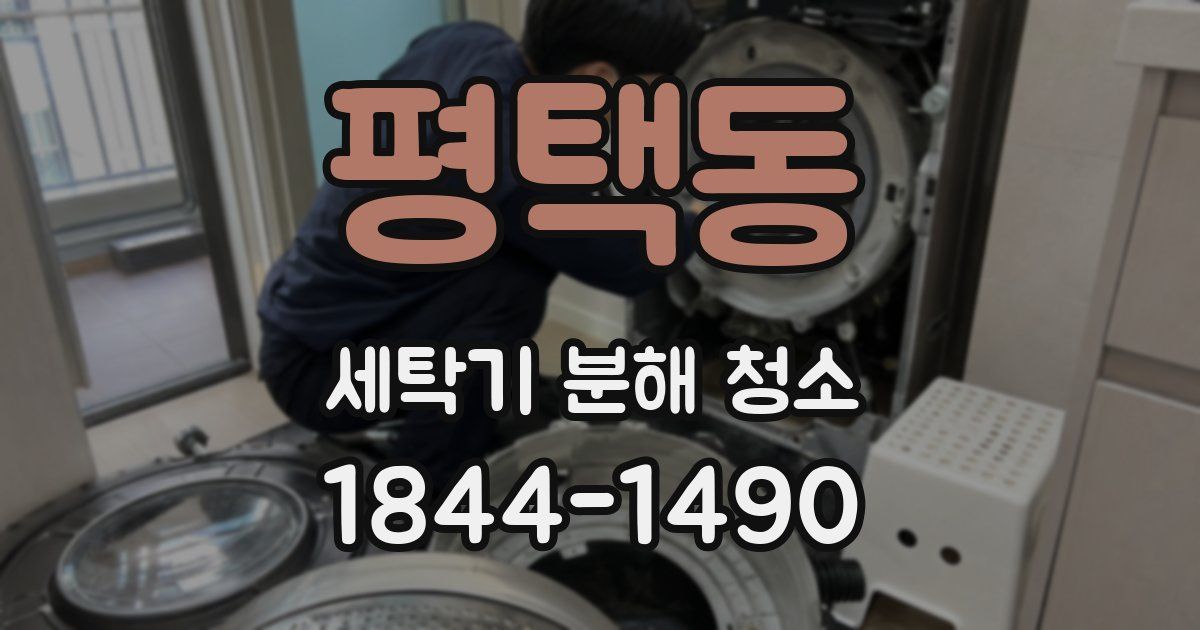 평택동 세탁기 분해 청소