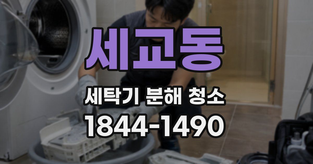 세교동 세탁기 분해 청소