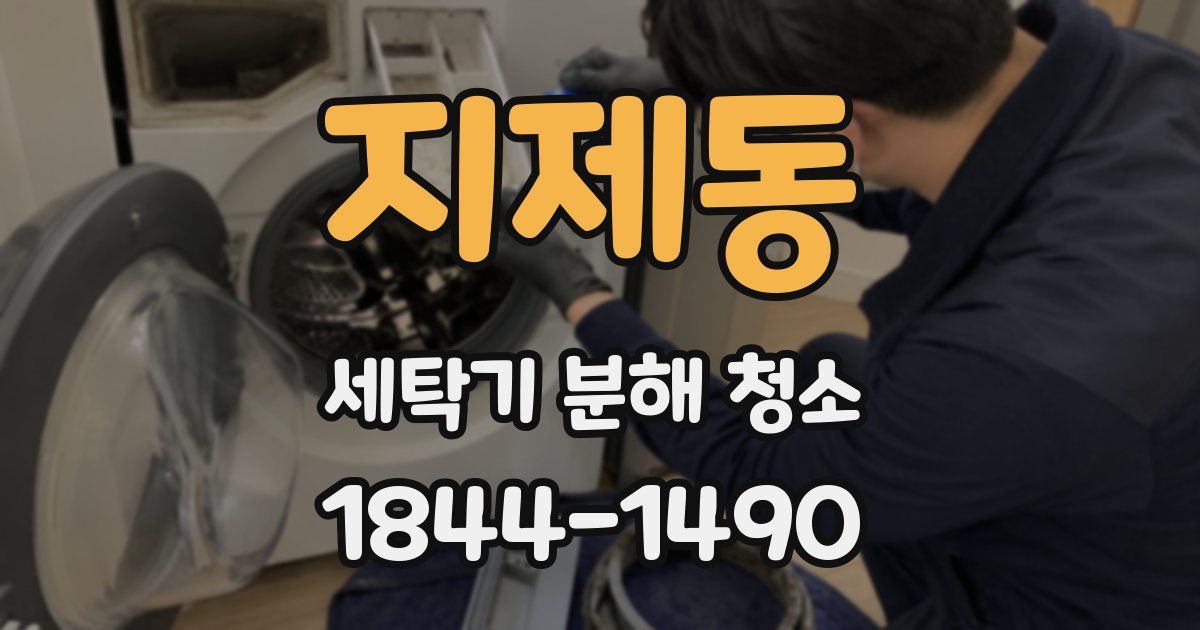 지제동 세탁기 분해 청소
