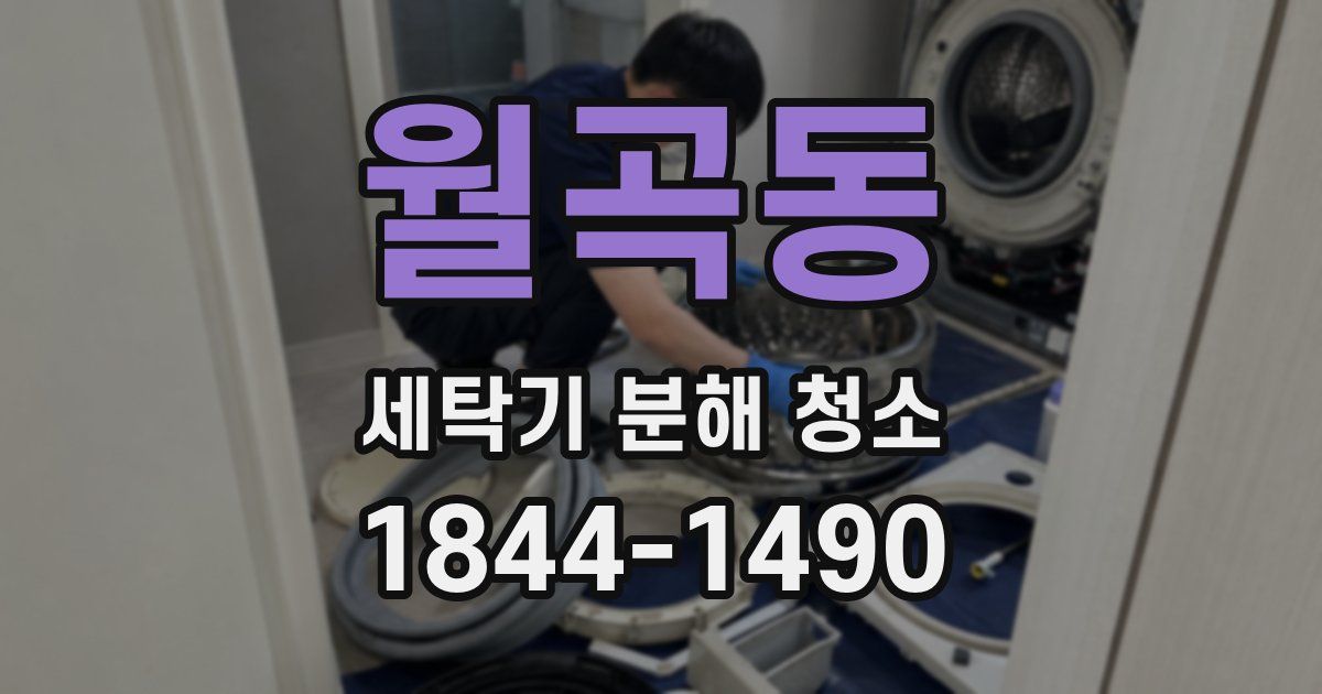 월곡동 세탁기 분해 청소