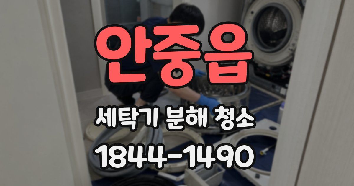 안중읍 세탁기 분해 청소