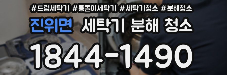 진위면 세탁기 분해 청소