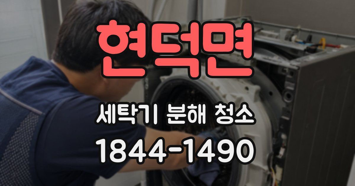 현덕면 세탁기 분해 청소