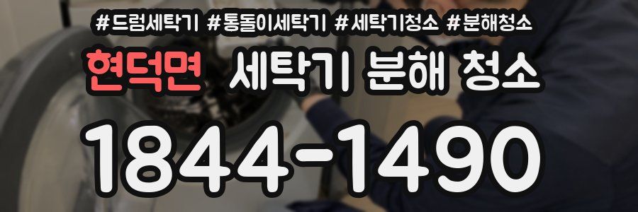현덕면 세탁기 분해 청소