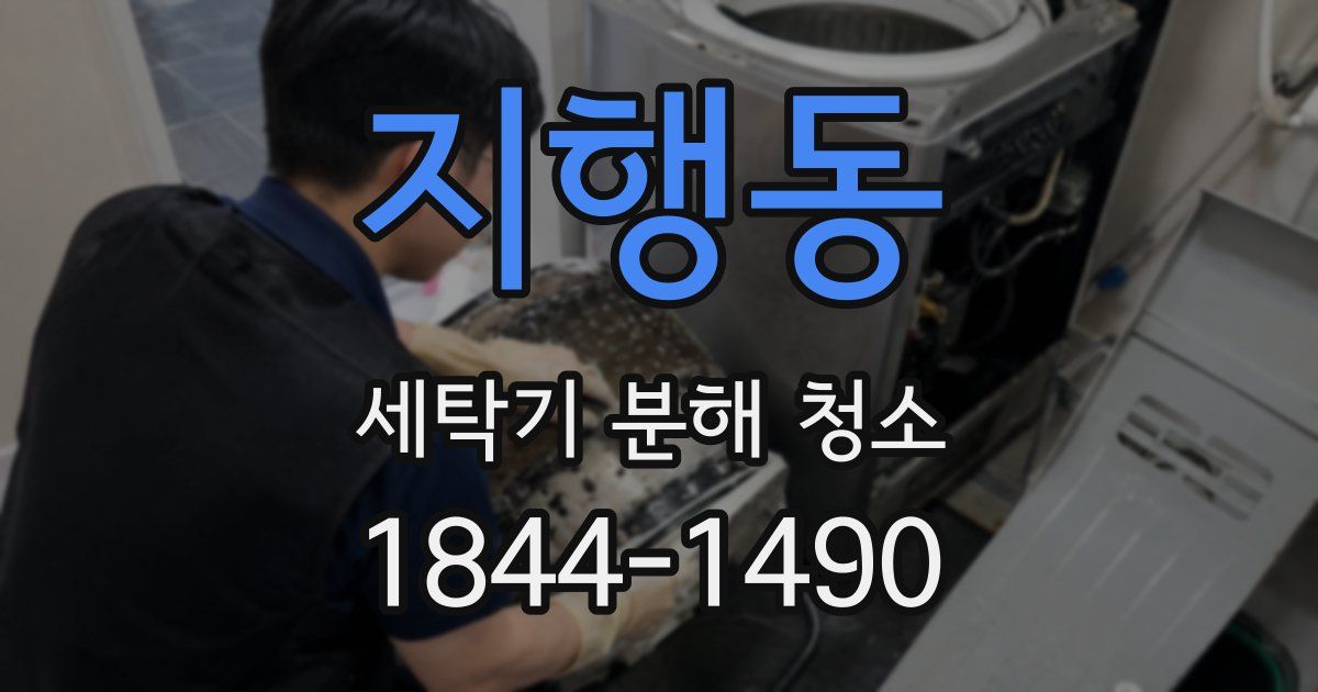 지행동 세탁기 분해 청소