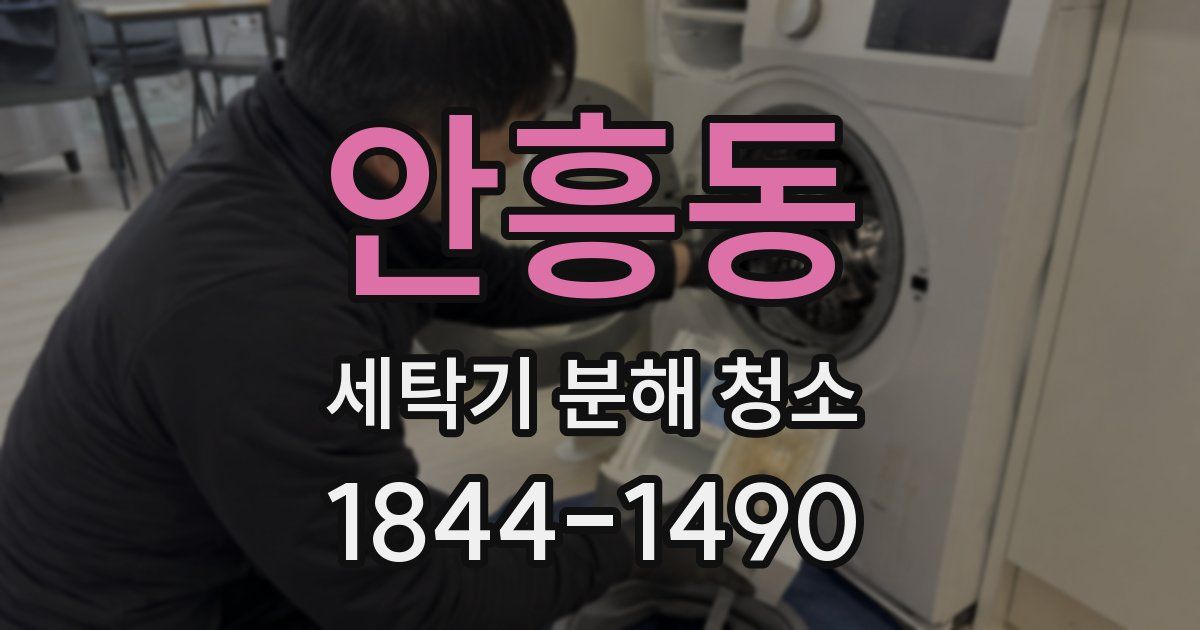 안흥동 세탁기 분해 청소