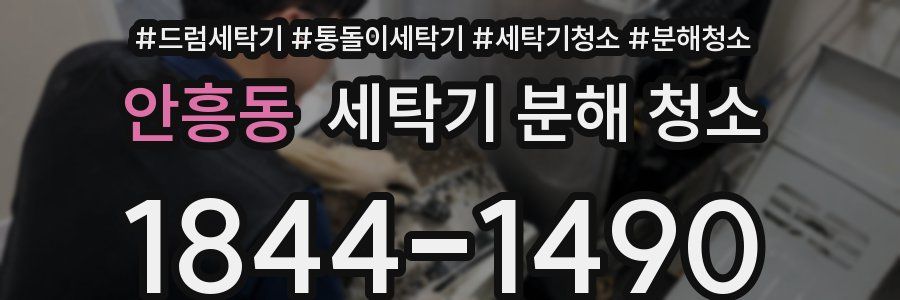 안흥동 세탁기 분해 청소