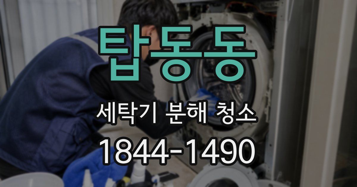 탑동동 세탁기 분해 청소