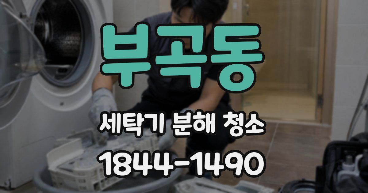부곡동 세탁기 분해 청소