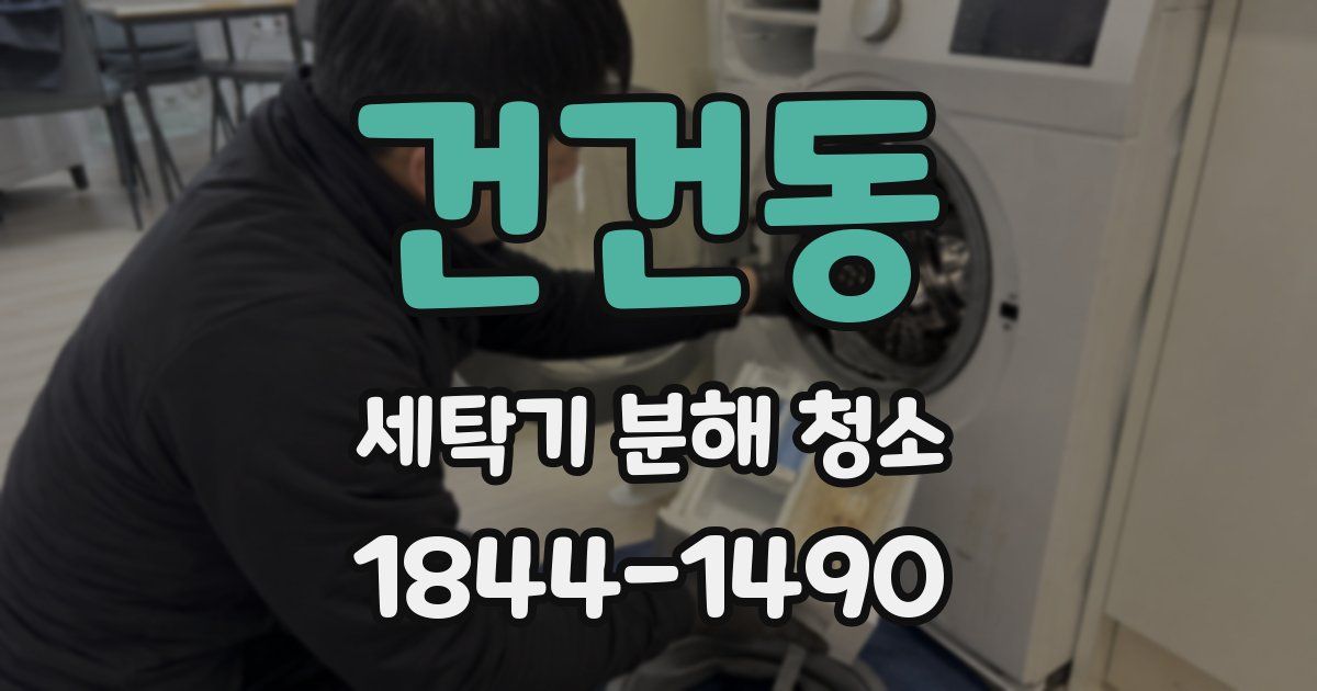 건건동 세탁기 분해 청소