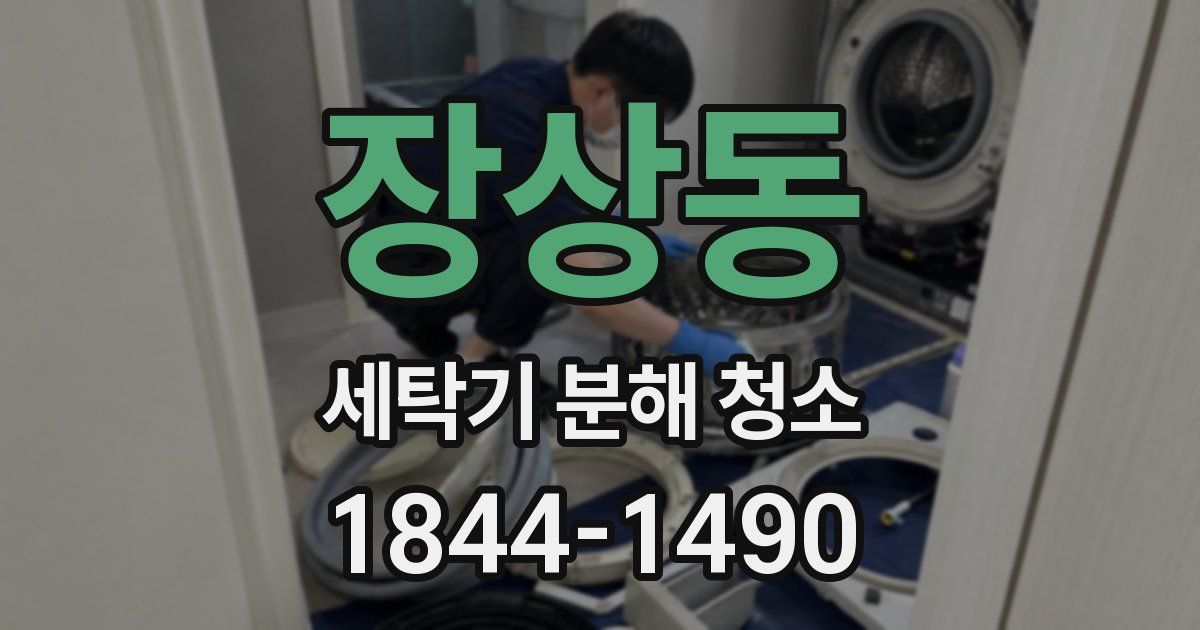 장상동 세탁기 분해 청소