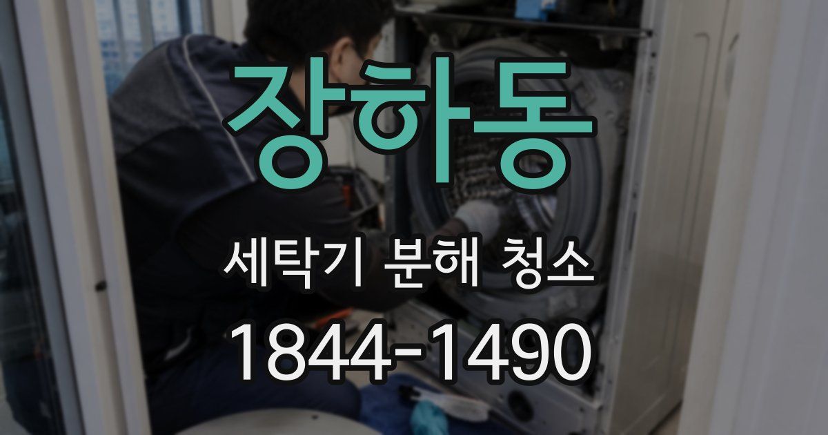 장하동 세탁기 분해 청소
