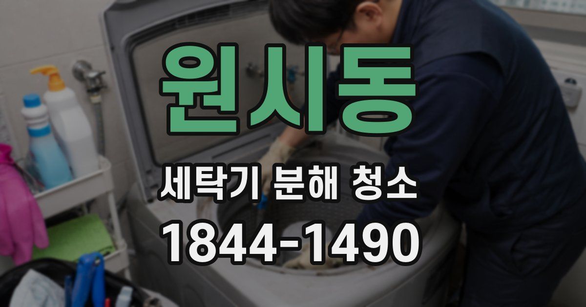 원시동 세탁기 분해 청소