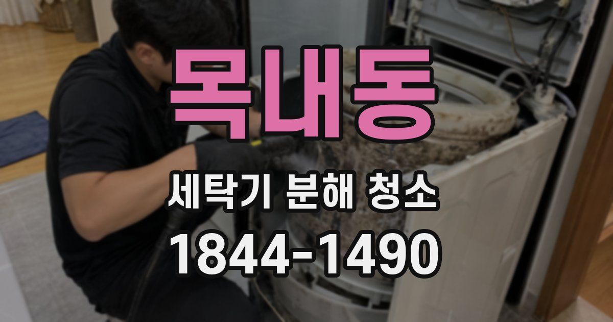 목내동 세탁기 분해 청소