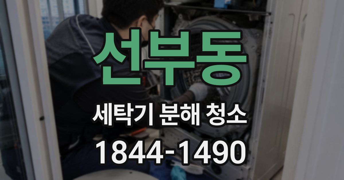 선부동 세탁기 분해 청소