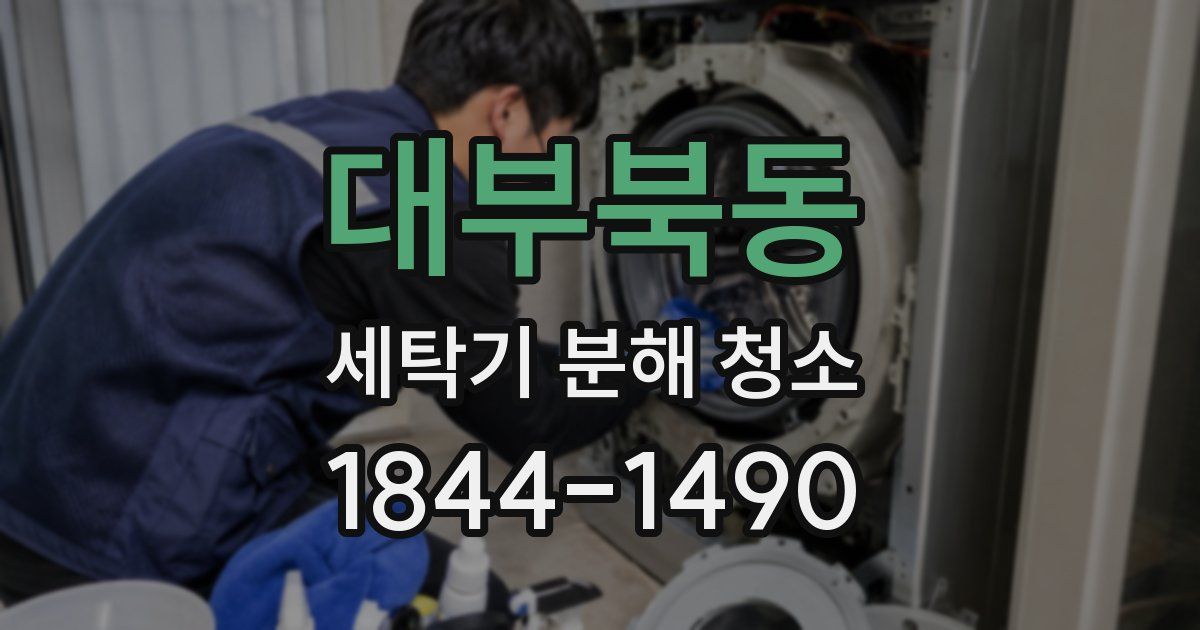 대부북동 세탁기 분해 청소
