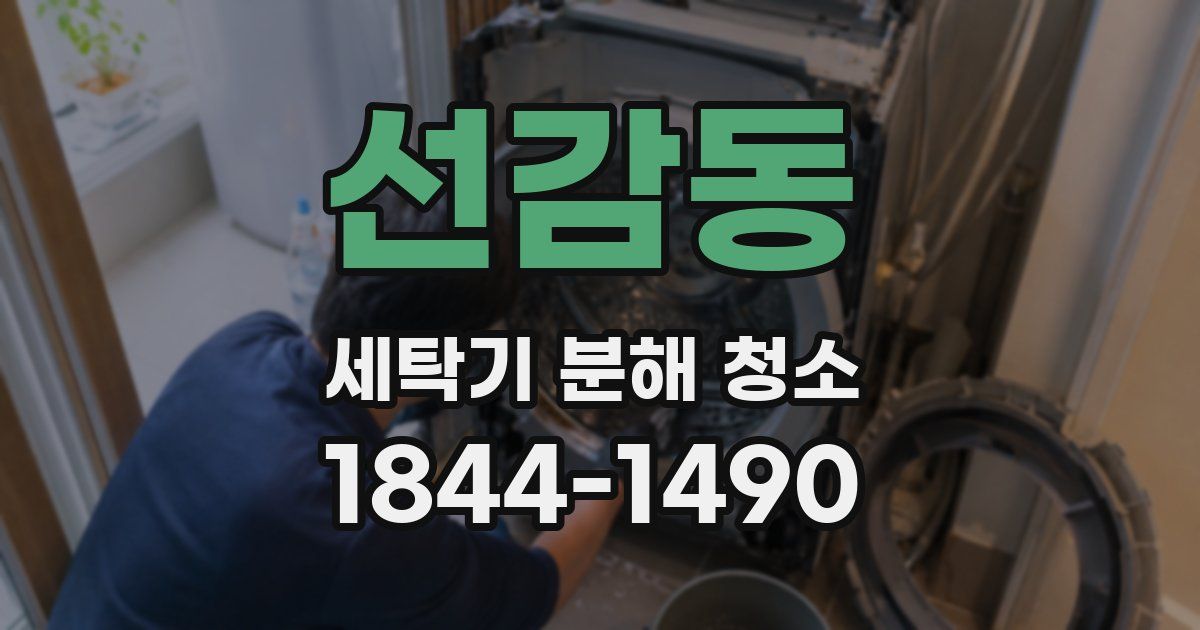 선감동 세탁기 분해 청소