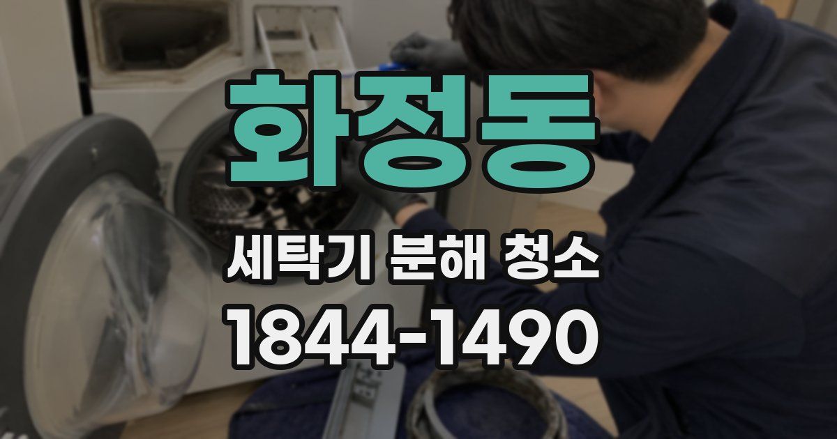 화정동 세탁기 분해 청소