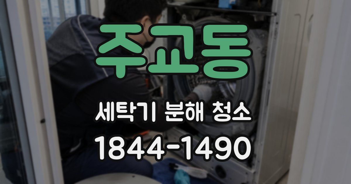 주교동 세탁기 분해 청소