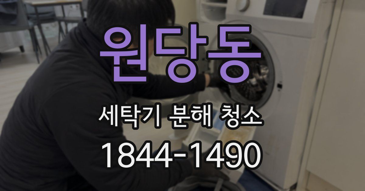 원당동 세탁기 분해 청소