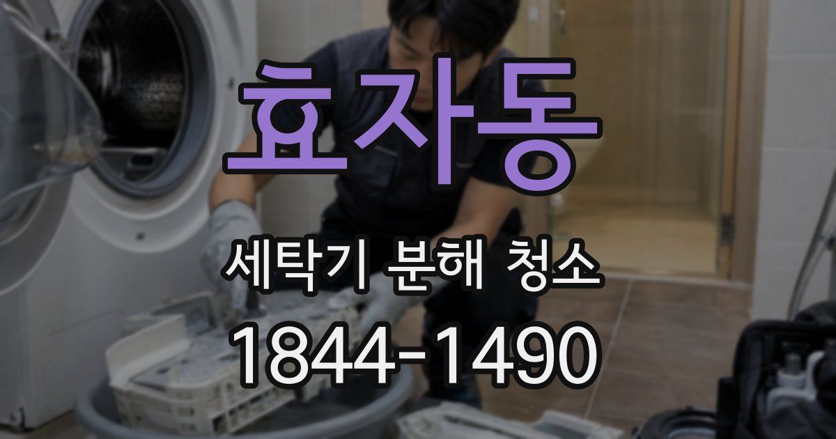 효자동 세탁기 분해 청소