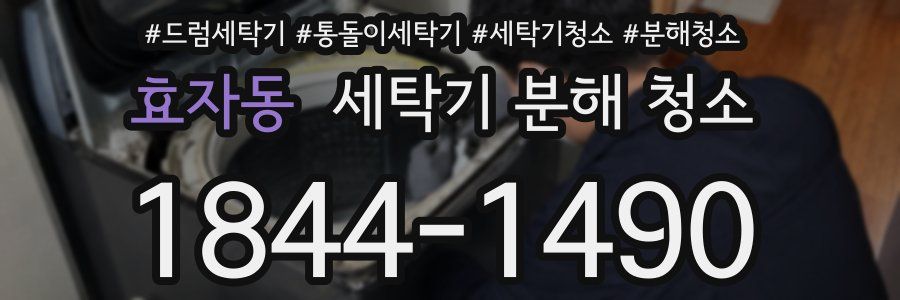효자동 세탁기 분해 청소