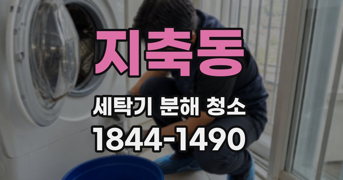 지축동 세탁기 분해 청소