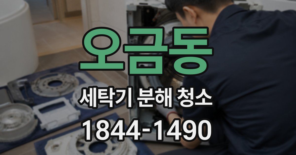 오금동 세탁기 분해 청소