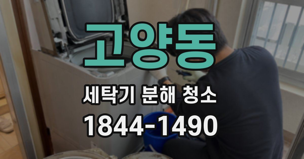 고양동 세탁기 분해 청소