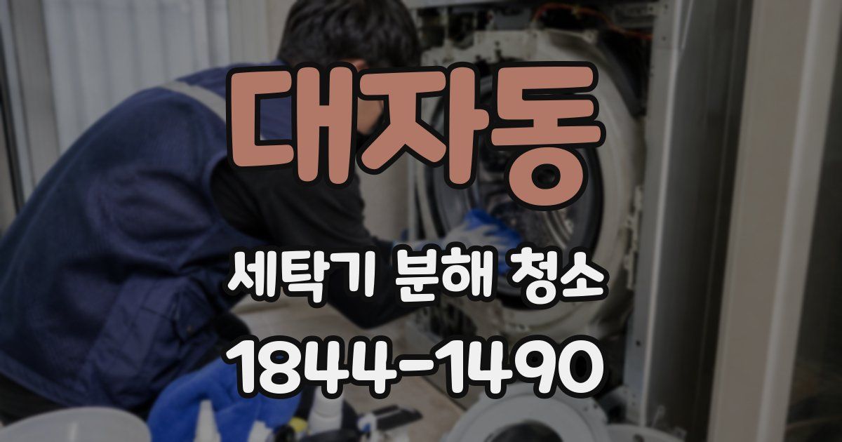대자동 세탁기 분해 청소
