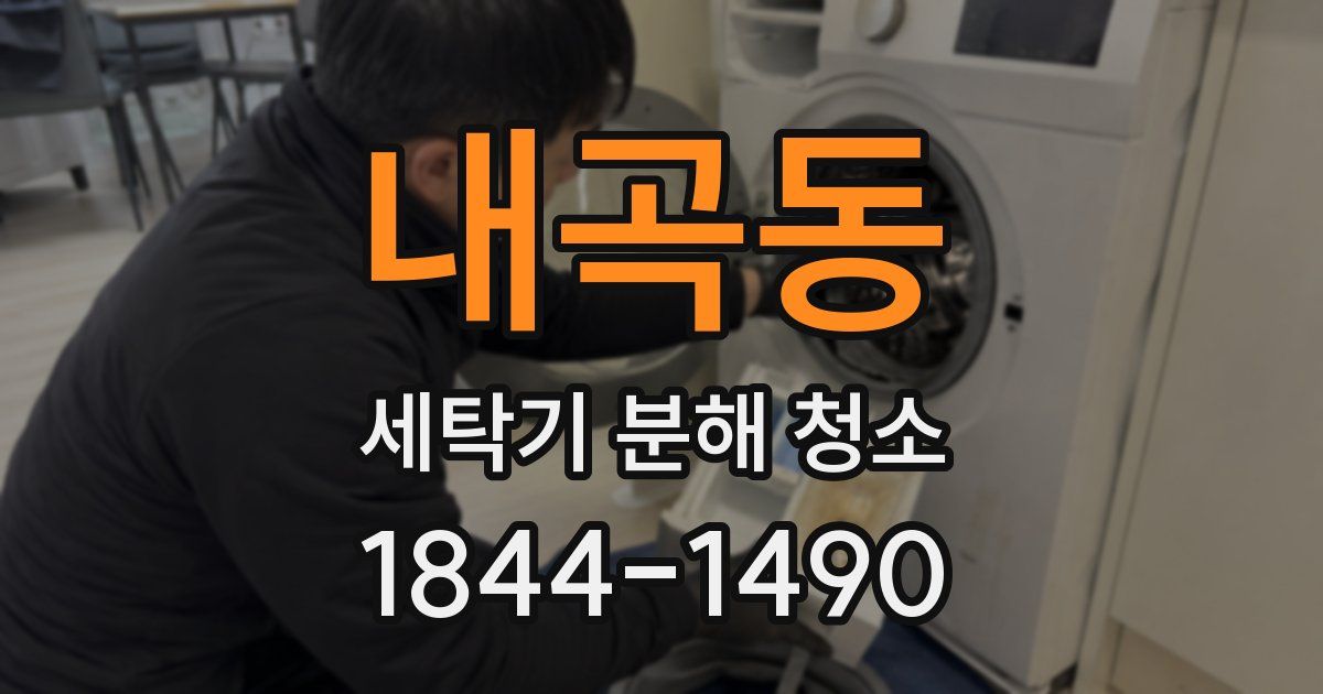 내곡동 세탁기 분해 청소