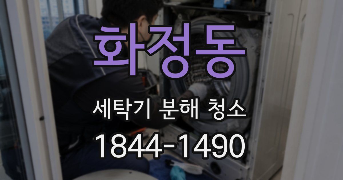 화정동 세탁기 분해 청소