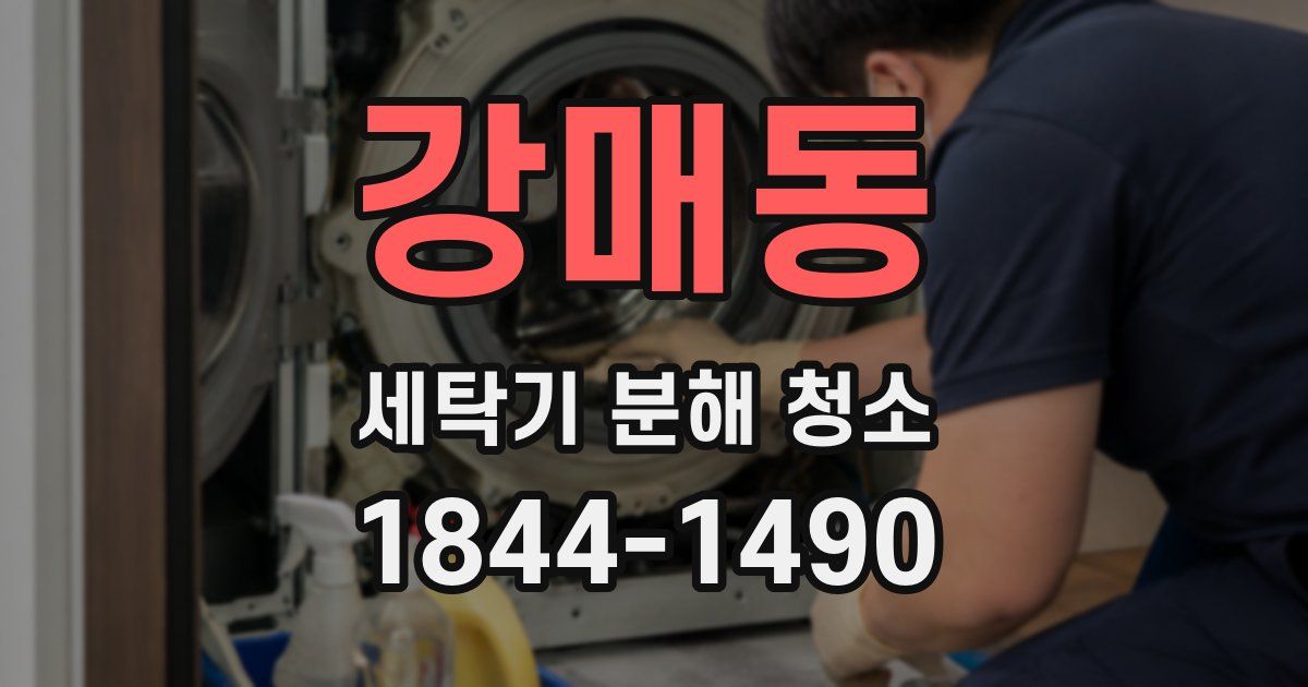 강매동 세탁기 분해 청소