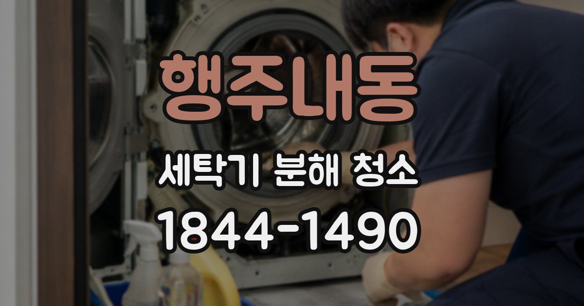 행주내동 세탁기 분해 청소