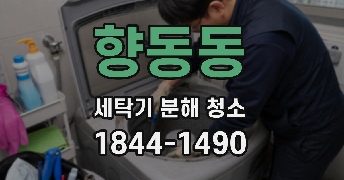 향동동 세탁기 분해 청소