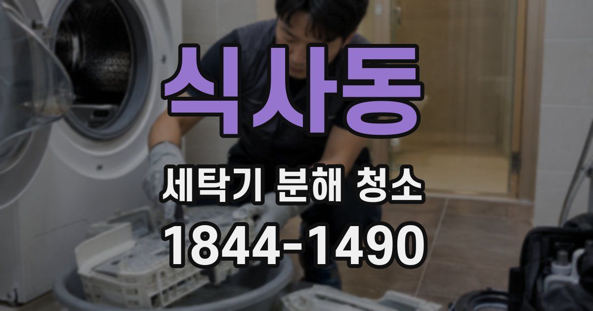 식사동 세탁기 분해 청소