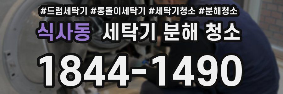 식사동 세탁기 분해 청소