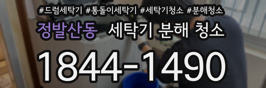 정발산동 세탁기 분해 청소