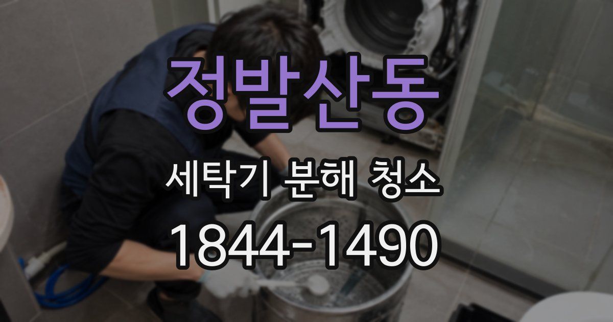 정발산동 세탁기 분해 청소