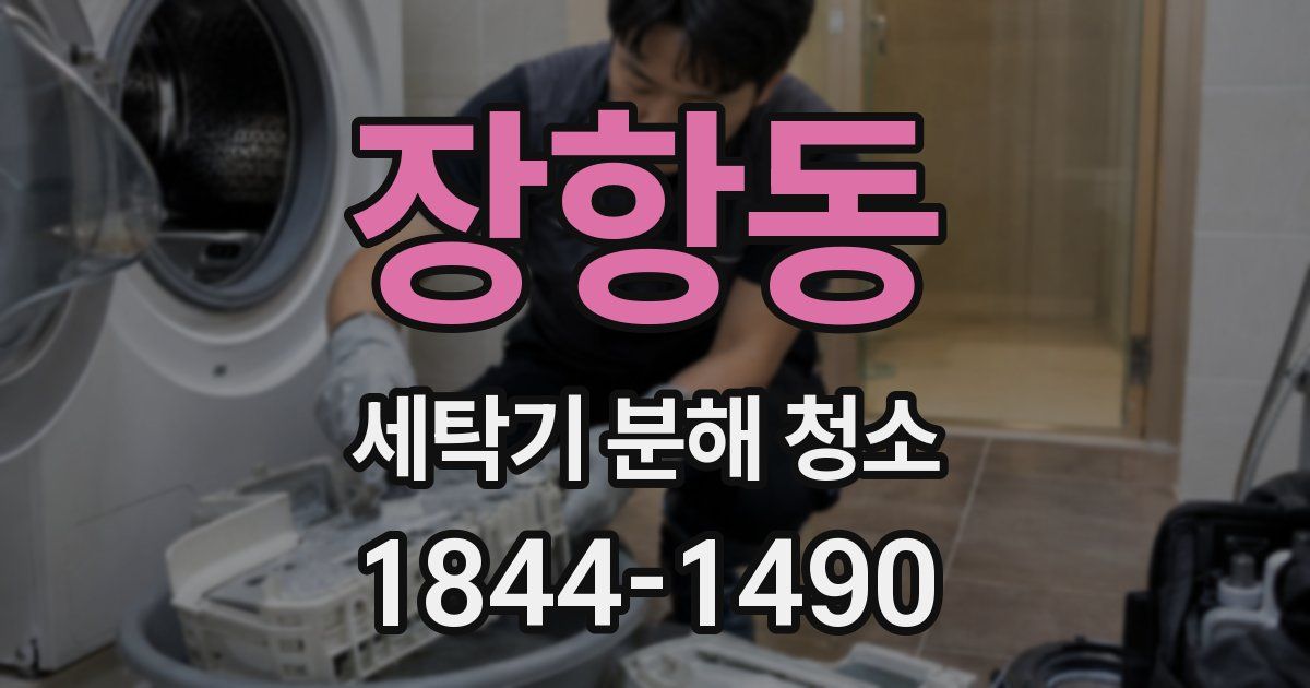 장항동 세탁기 분해 청소