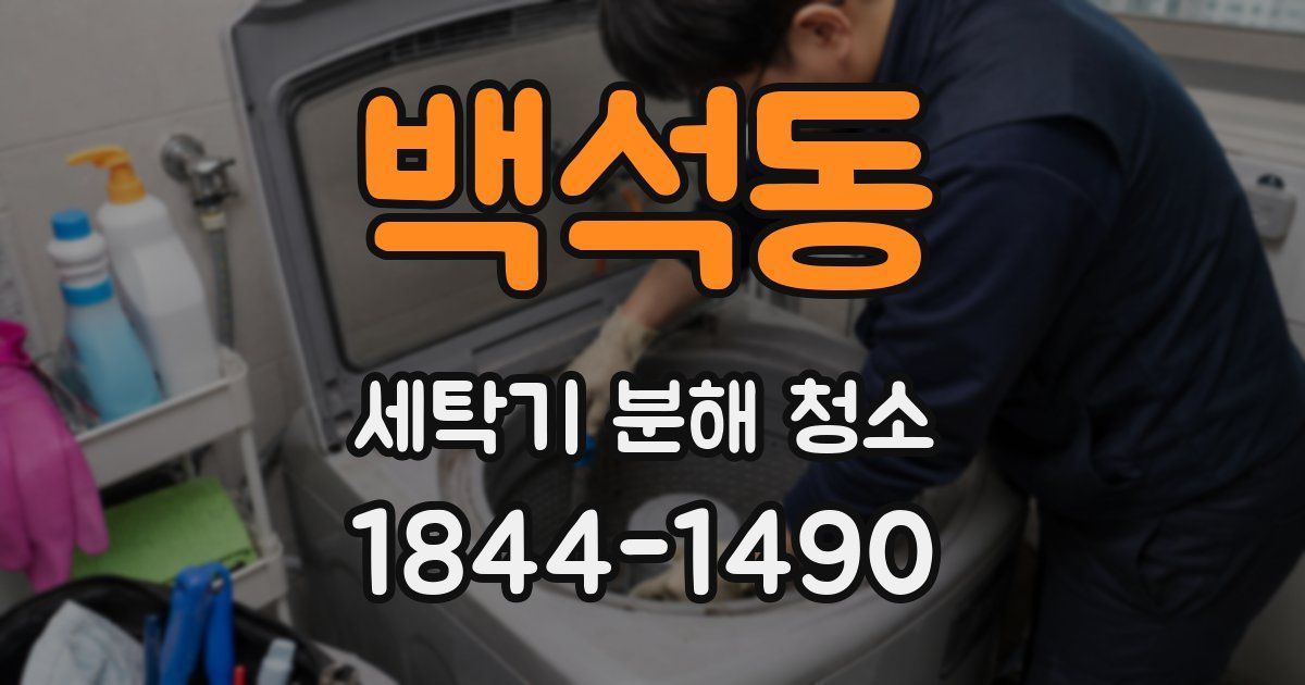 백석동 세탁기 분해 청소