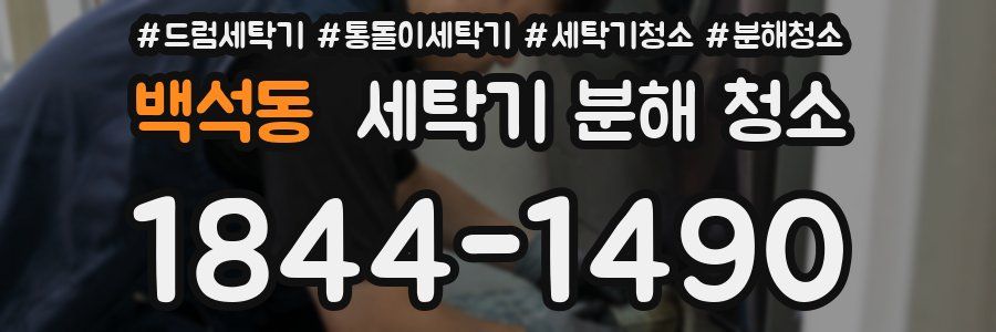 백석동 세탁기 분해 청소