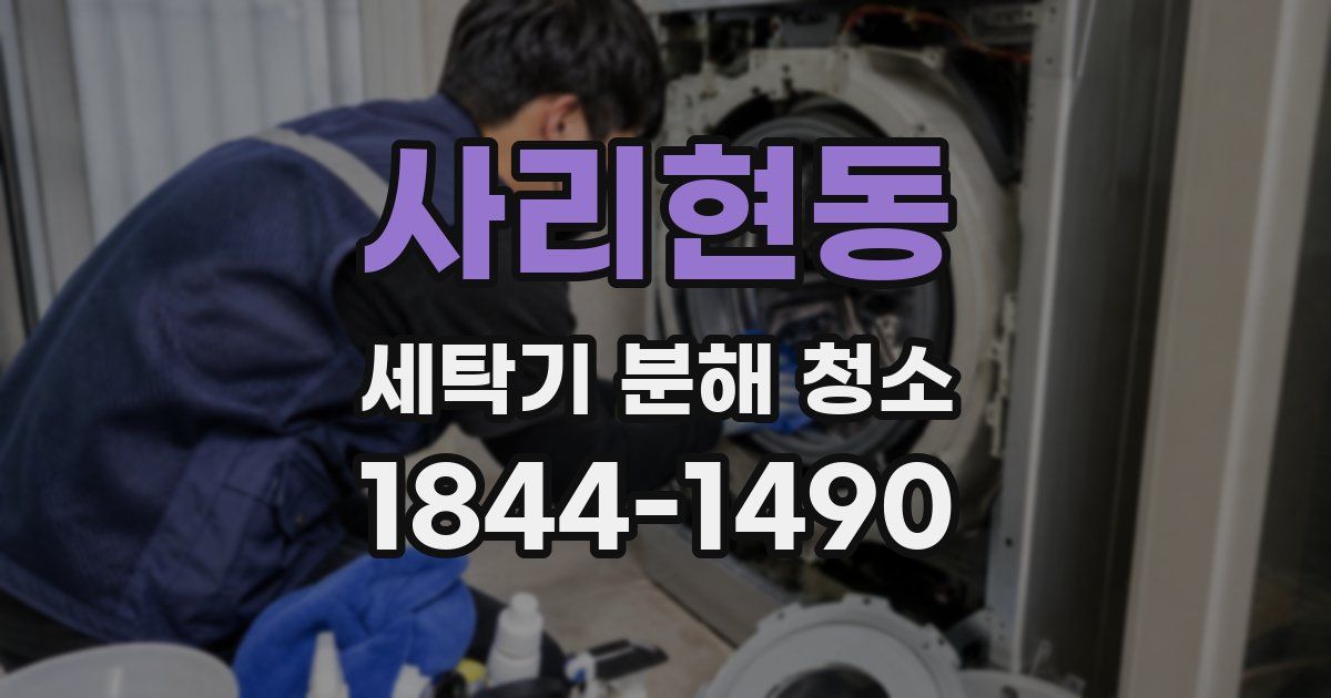 사리현동 세탁기 분해 청소