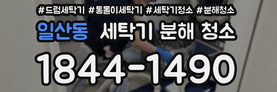 일산동 세탁기 분해 청소